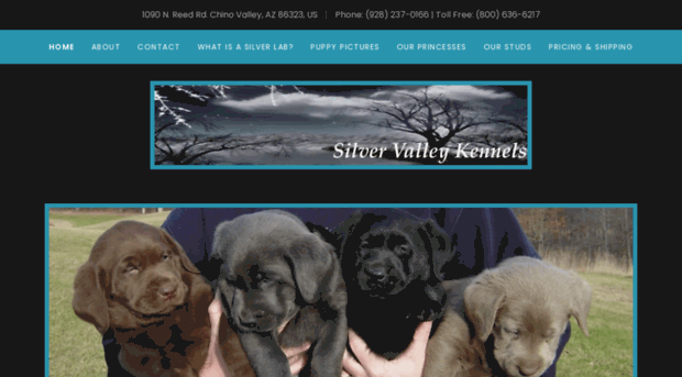 silvervalleykennels.com