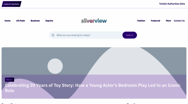 silverview.uk