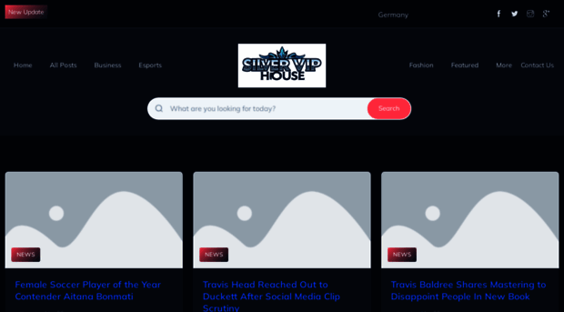 silverviphouse.com