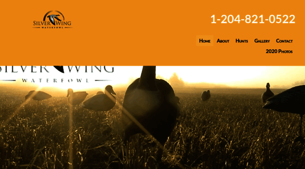 silverwingwaterfowl.com