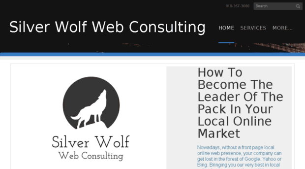 silverwolfwebconsulting.com