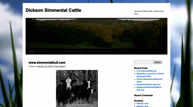 simmentalbeefcattle.com