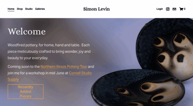 simonlevin.com