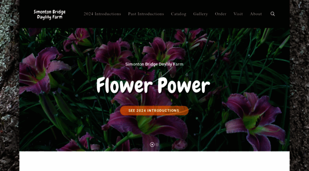 simontonbridgedaylilies.com