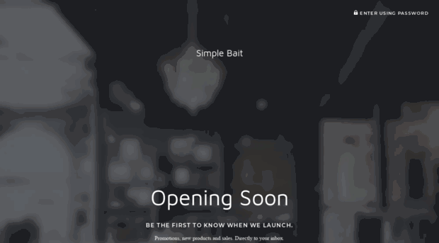 simple-bait.myshopify.com