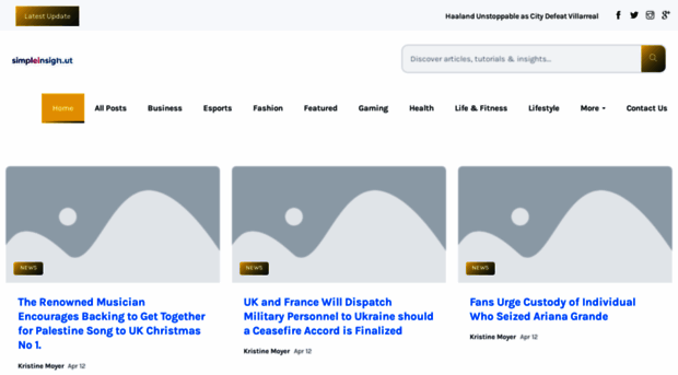 simpleinsight.us