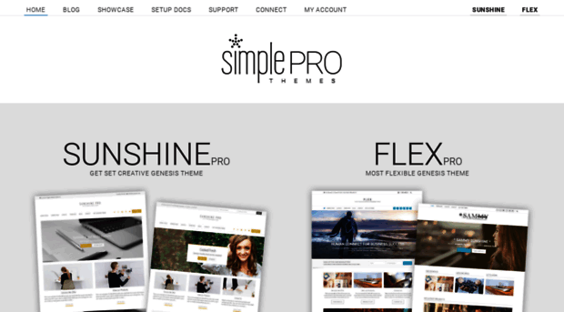 simpleprothemes.com