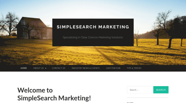 simplesearchmarketing.com