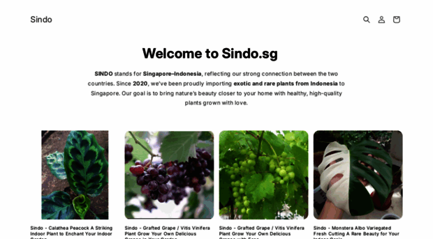 sindo.sg