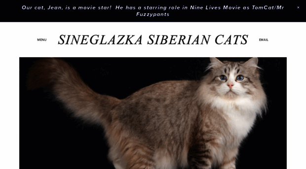 sineglazkasiberiancats.com