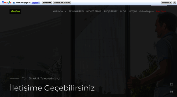 sinekasineklik.com