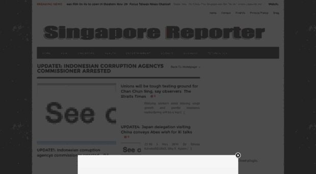 singaporereporter.net