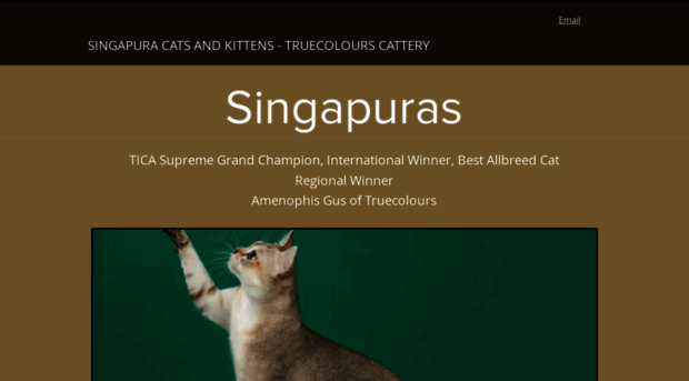 singapura-cats-truecolours.com