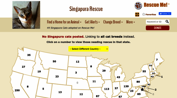 singapura.rescueme.org