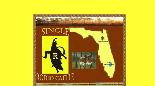 single-r-rodeocattle.com