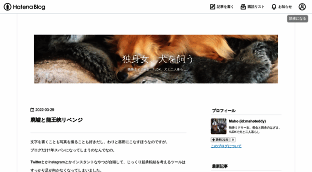 singledog.hatenablog.com
