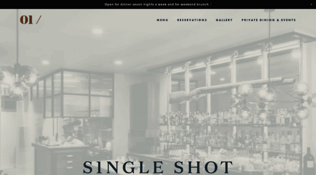 singleshotseattle.com