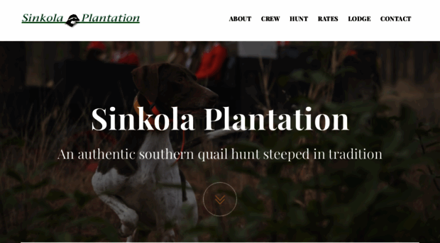 sinkola.com