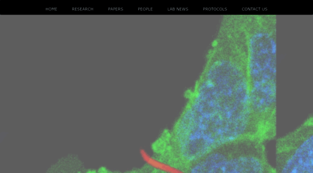 sinnislab.johnshopkins.edu