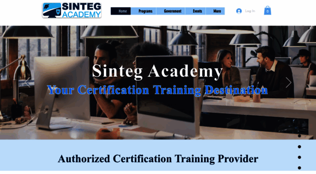 sintegacademy.com