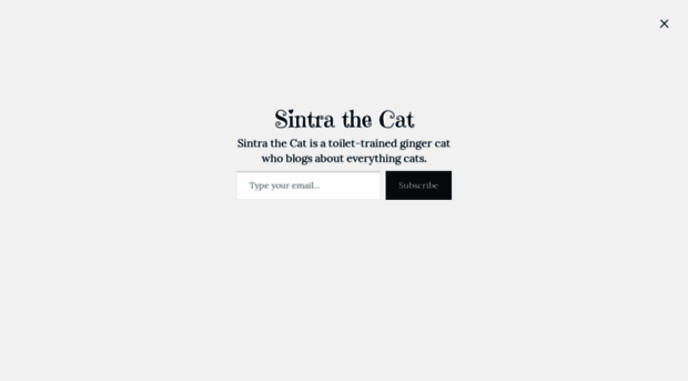 sintrathecat.com