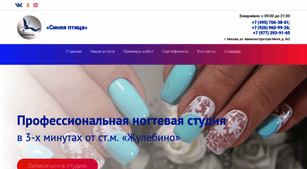 sinyayaptica.ru