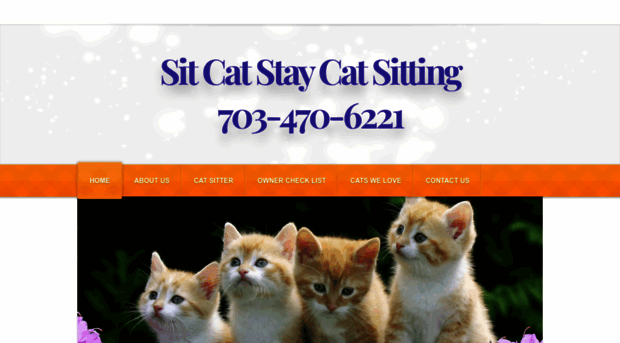 sitcatstay.com