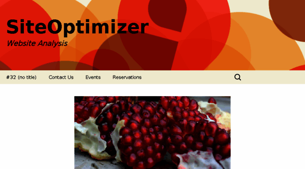 siteoptimizer.info