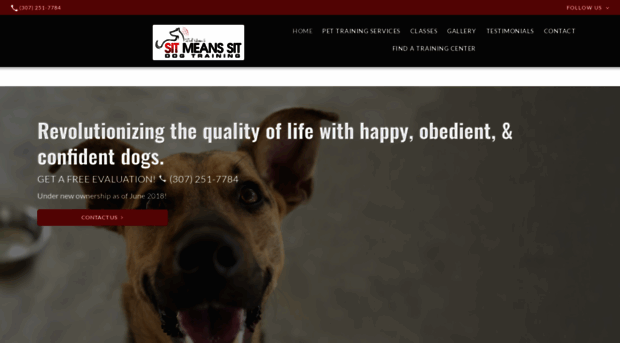 sitmeanssitdogtrainingwy.com