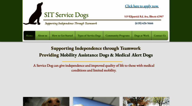 sitservicedogs.com