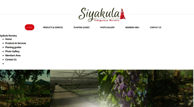 siyakulanursery.co.za