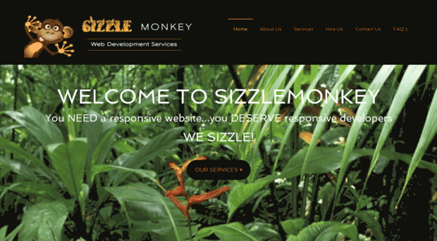 sizzlemonkey.com