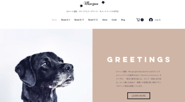 sjpet-morgan.com