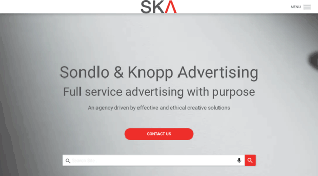 skaagency.co.za