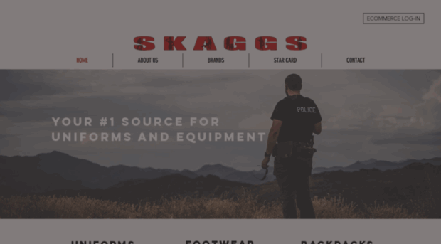 skaggsaz.com