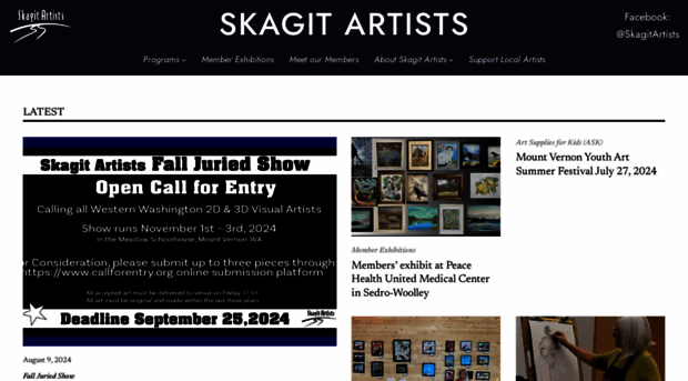 skagitartists.com