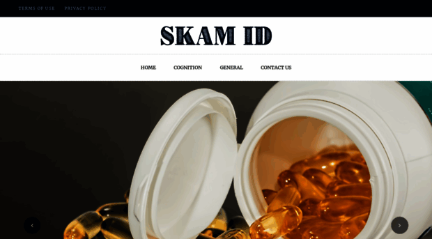 skamid.com