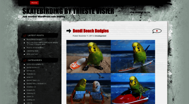 skateboardingbudgies.wordpress.com