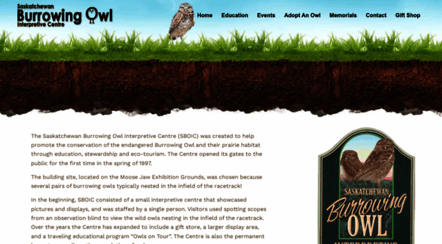 skburrowingowl.ca