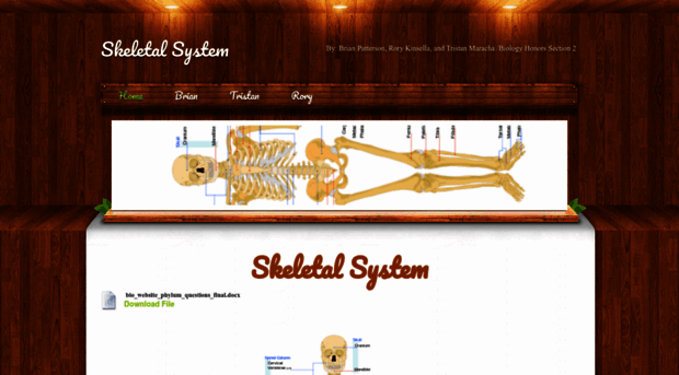 skeletalmeletal.weebly.com