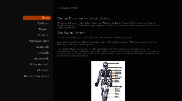 skeletalphylum.weebly.com