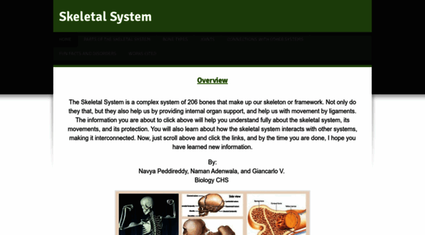 skeletalsystembiology.weebly.com