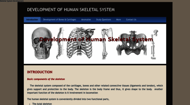 skeletalsystemdev.weebly.com