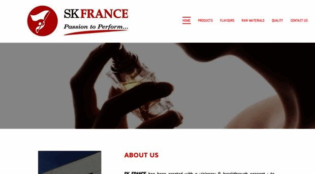 skfrance.fr