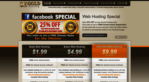 skgoldhosting.com