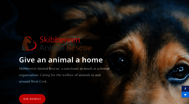 skibbereenanimalrescue.ie