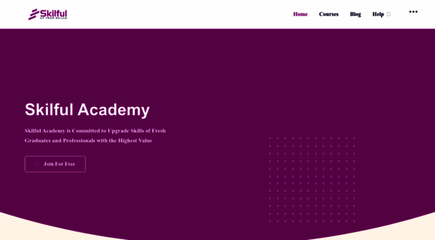 skilfulacademy.com