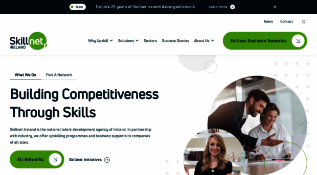 skillnetireland.ie