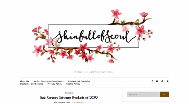 skinfullofseoul.com