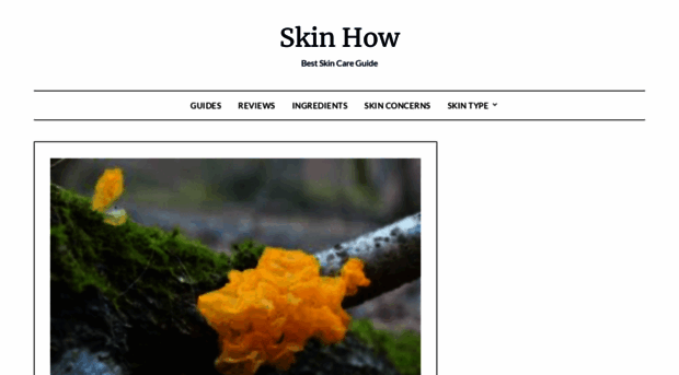 skinhow.org